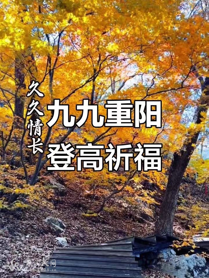 微信图片_20251029144426_47_2.jpg 微信图片_20251029144426_47_2.jpg