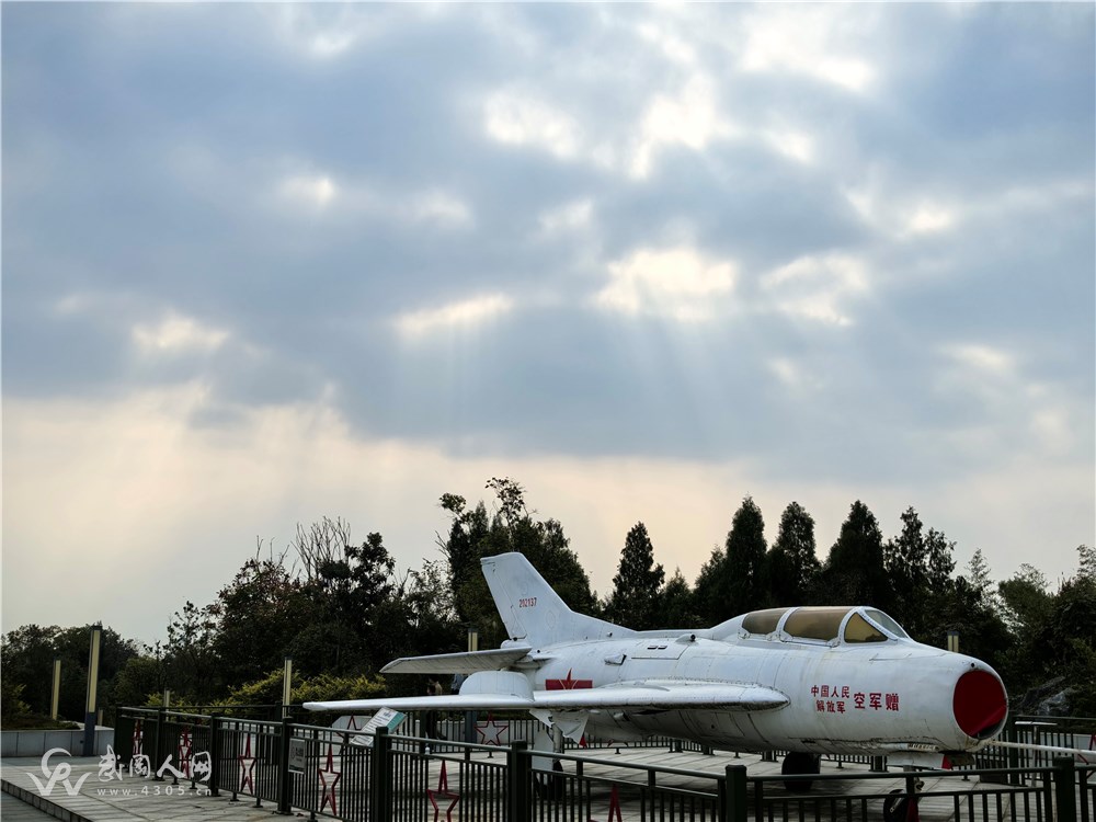 ce4f26a11352407fd1fadaabc6140cf8.jpeg ce4f26a11352407fd1fadaabc6140cf8.jpeg