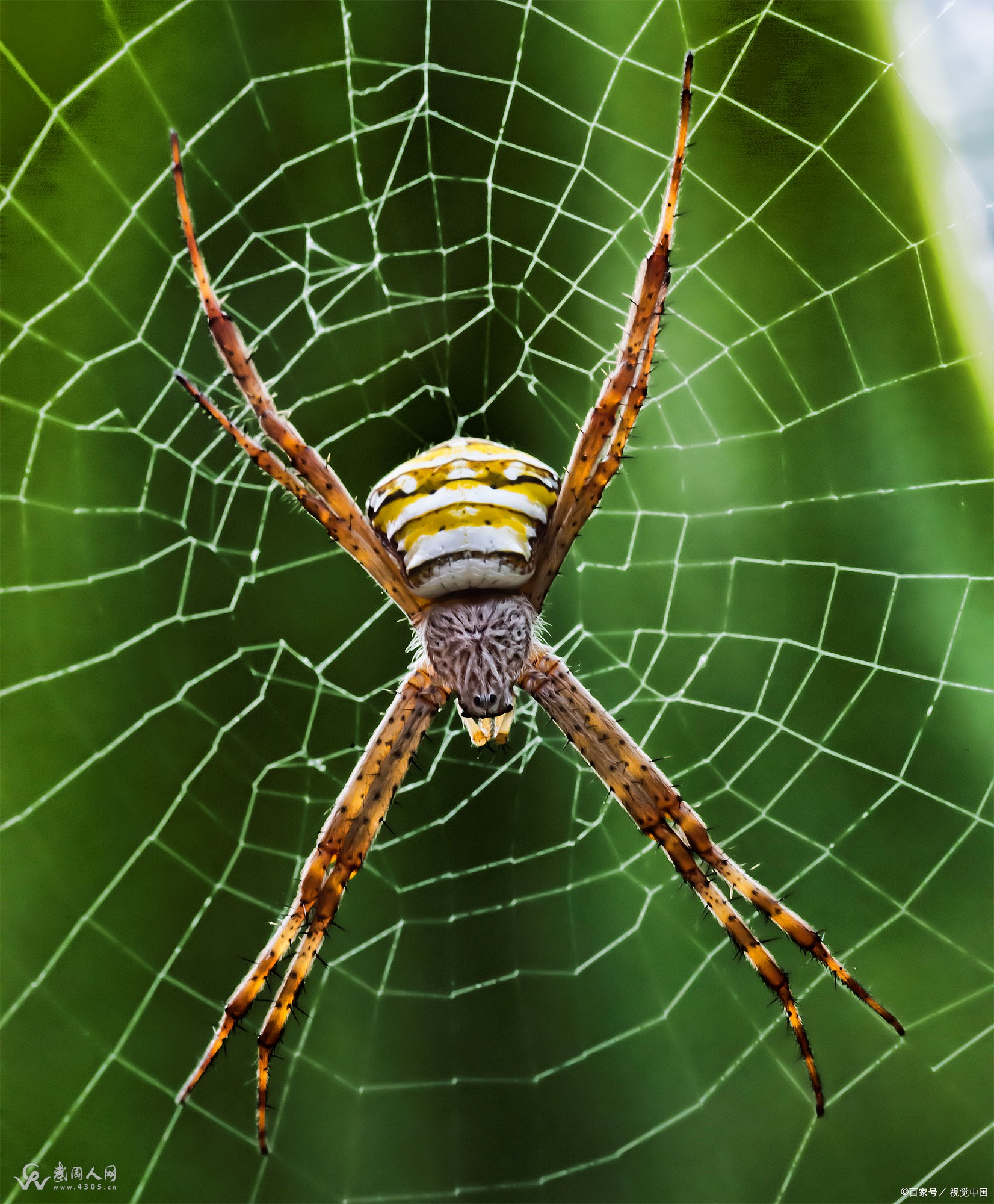 60c4702e0e99faf624ce6fc2d5ae952d.jpg 60c4702e0e99faf624ce6fc2d5ae952d.jpg