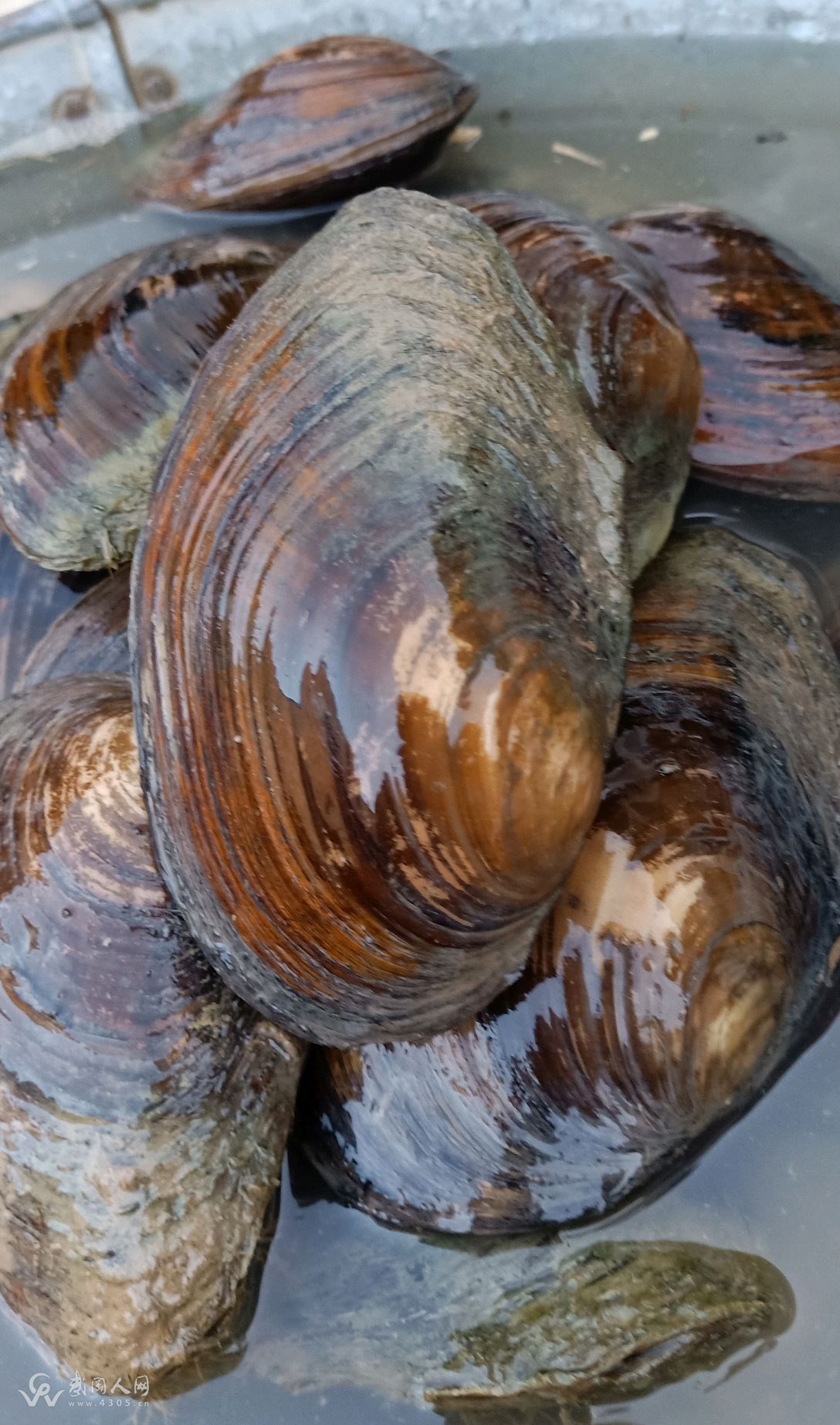 b0a3a416efebf5c5830ac4c1fac0de767944.jpg b0a3a416efebf5c5830ac4c1fac0de767944.jpg