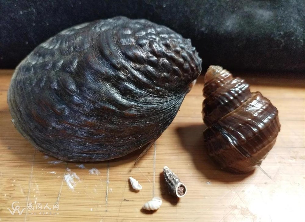 0d338744ebf81a4c8c6d843a7f0e0a56242da69e.jpg 0d338744ebf81a4c8c6d843a7f0e0a56242da69e.jpg