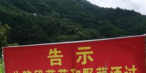 “顺路偷菜”何时休？