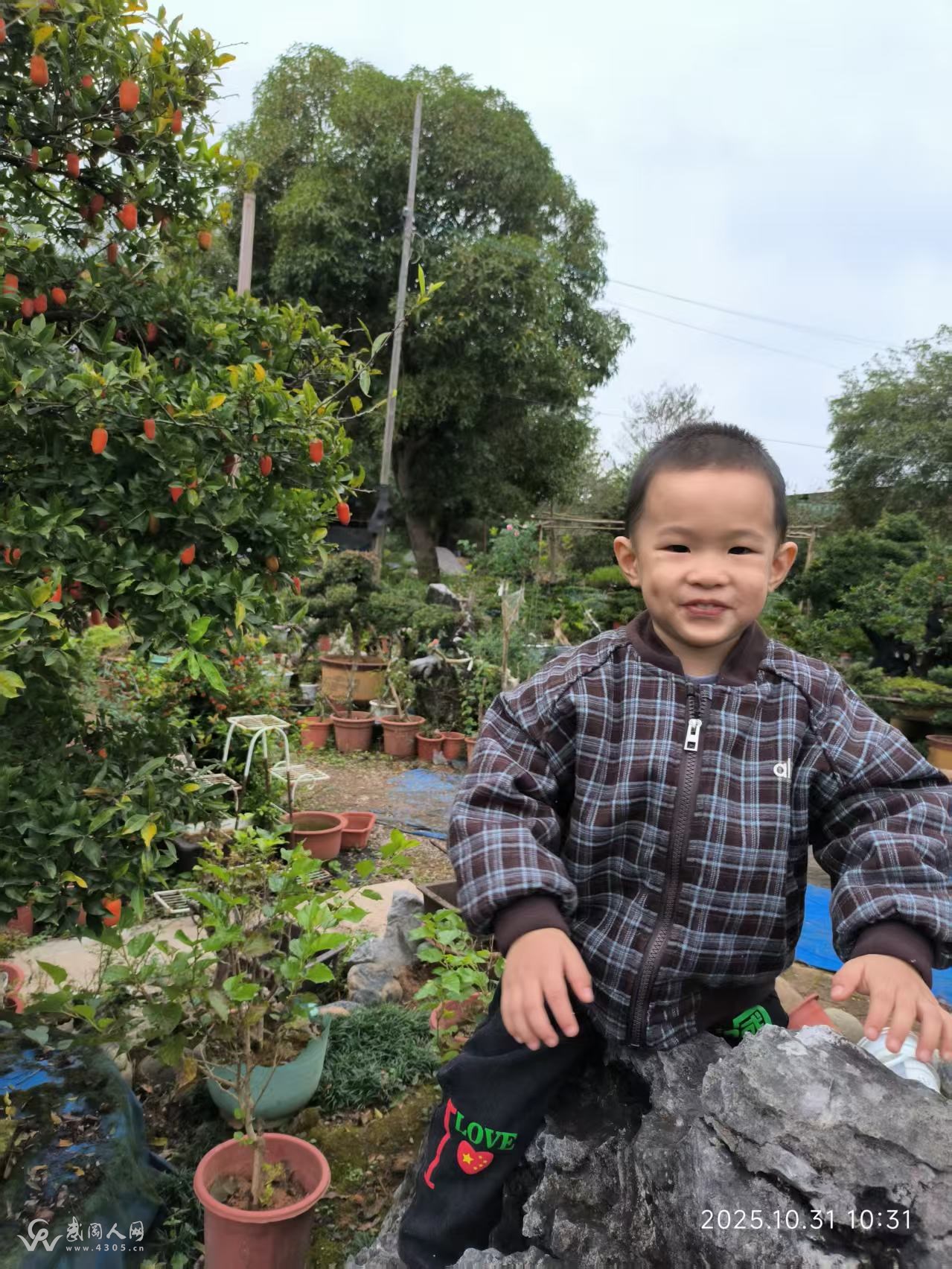 mmexport1761885447153.jpg mmexport1761885447153.jpg