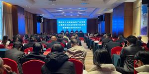 全面启动！财政投资超1.8亿元 武冈将发展油茶产业