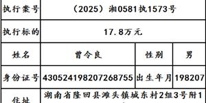 曝光|武冈市人民法院2025年第二十四期失信被执行人名单出炉！