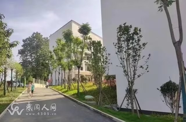 13339335634557402.jpeg 13339335634557402.jpeg