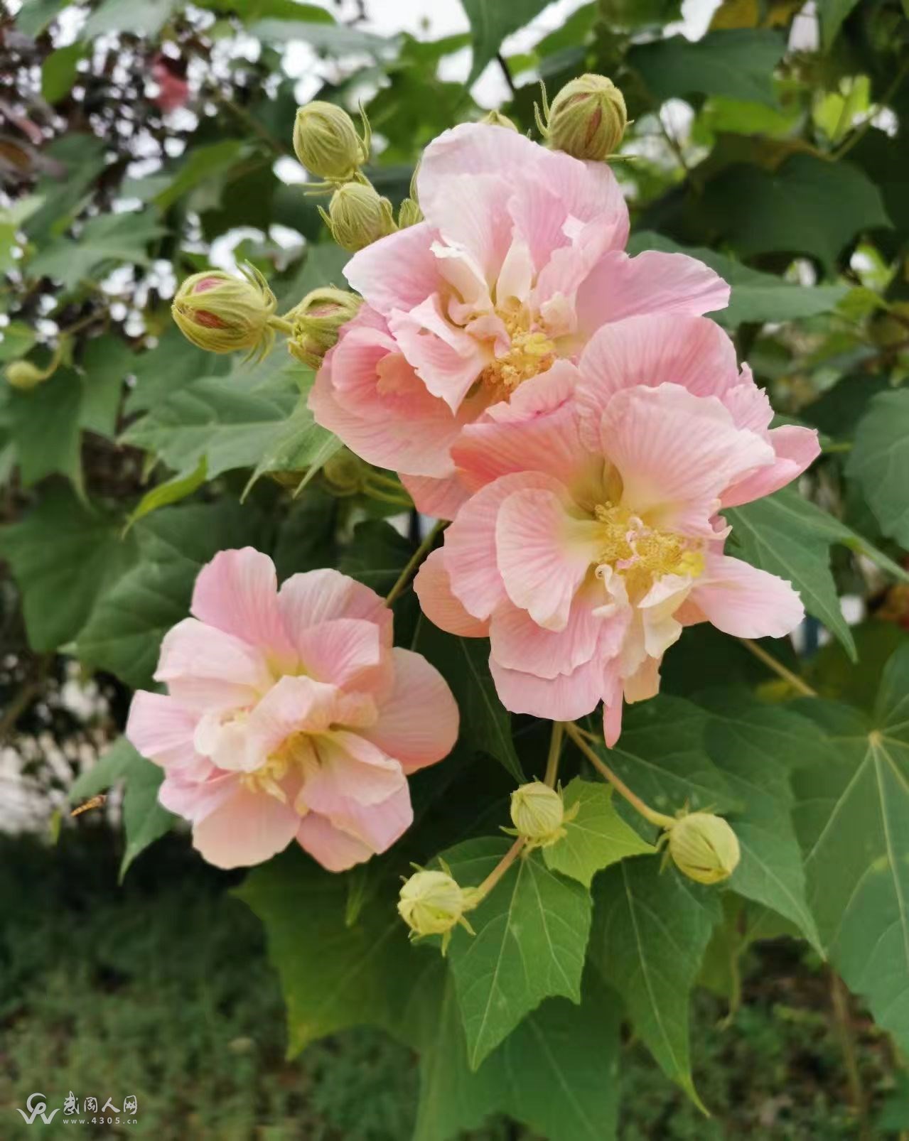 微信图片_20230315095849.jpg 微信图片_20230315095849.jpg