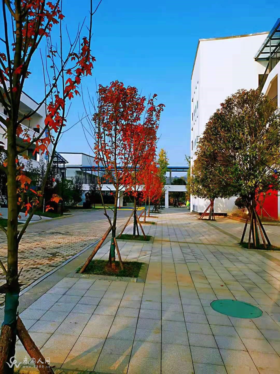 微信图片_20221226113945.jpg 微信图片_20221226113945.jpg