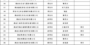 湖南省上市后备企业名单公布,武冈这5家在列