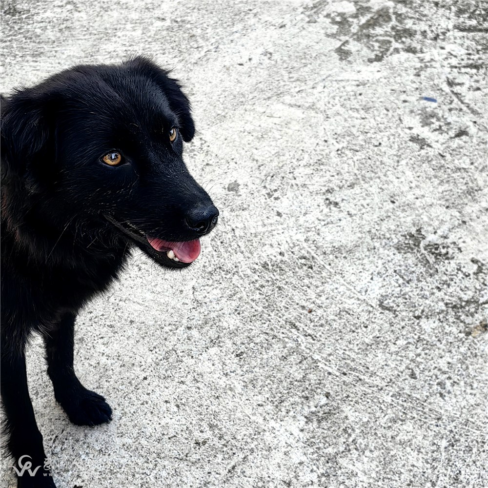 IMG_20250719_185219.jpg IMG_20250719_185219.jpg