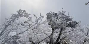 《雪潮》