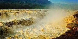 一首献给坚韧生命的赞歌