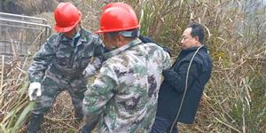 大圳灌区大水江干渠集中清淤除障作业圆满交卷