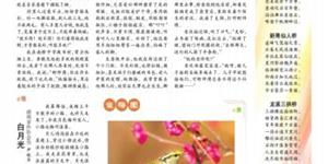 补鞋匠《科教新报》