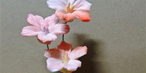 我爱精巧的小瓷花