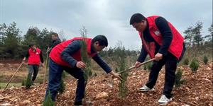 市自然资源局：人勤春来早 植绿启新程