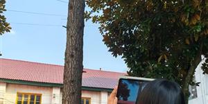 朱溪中学开展植树节实践活动