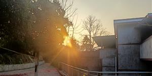 七律·春日抒怀