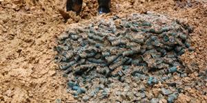 武冈发现大量古钱币