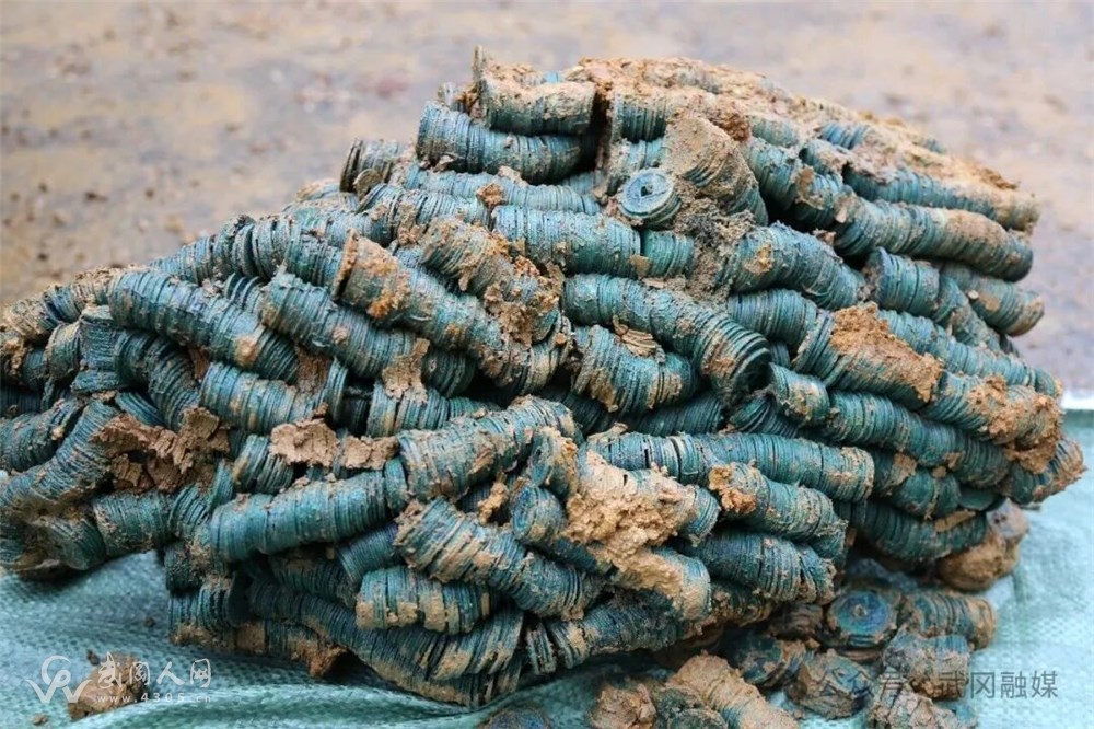 mmexport1776351072636.jpg mmexport1776351072636.jpg