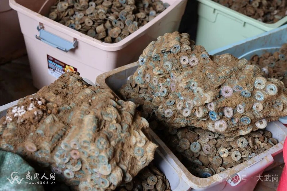 mmexport1776351057791.jpg mmexport1776351057791.jpg