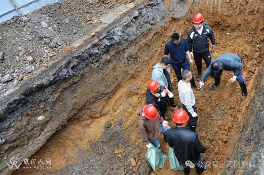 mmexport1776351064177.jpg mmexport1776351064177.jpg