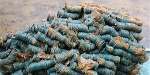 武冈挖出巨额宝藏，究竟何人留下？