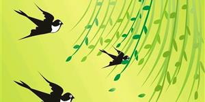 往事烟尘（纪实文之十五）