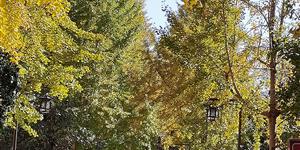 与关系无关（笔记小说）