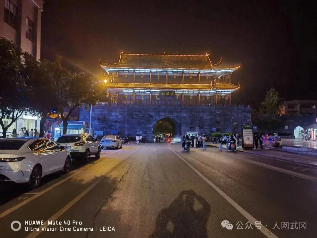 夜游武冈西直街有感：东风吹落花千树！