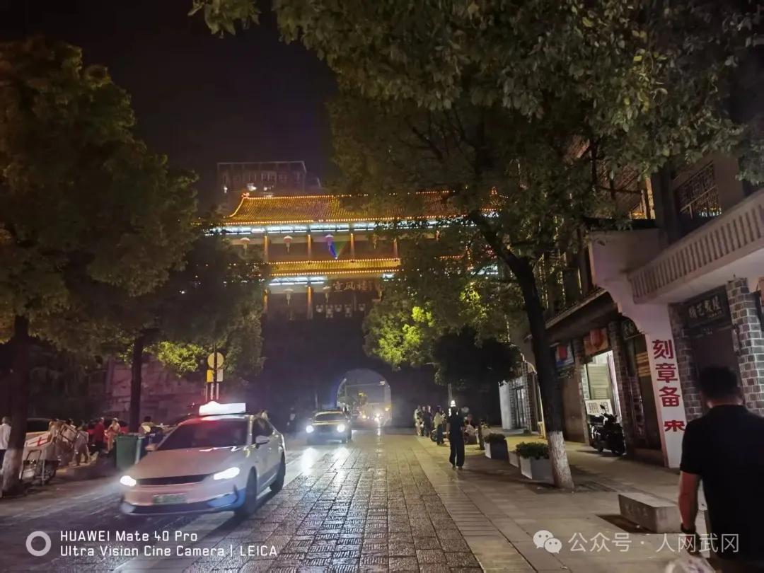 夜游武冈西直街有感：东风吹落花千树！