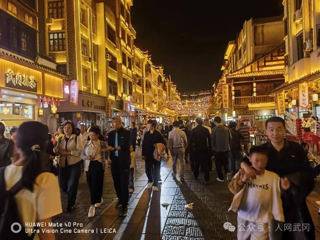 夜游武冈西直街有感：东风吹落花千树！