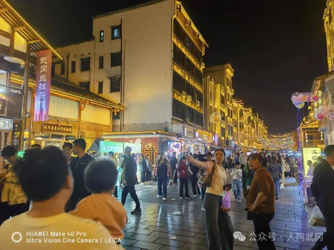 夜游武冈西直街有感：东风吹落花千树！