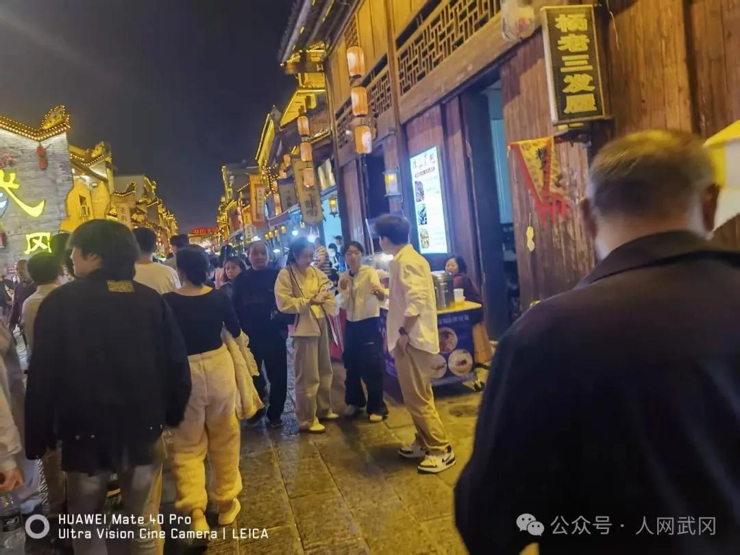 夜游武冈西直街有感：东风吹落花千树！