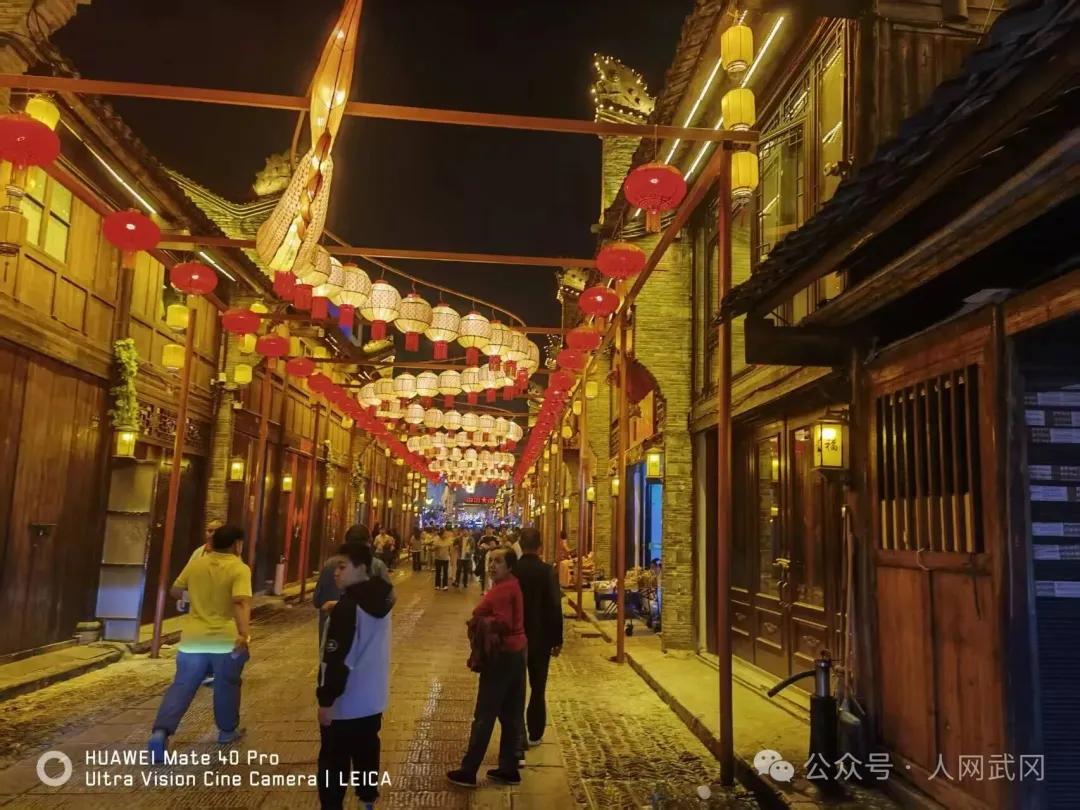 夜游武冈西直街有感：东风吹落花千树！
