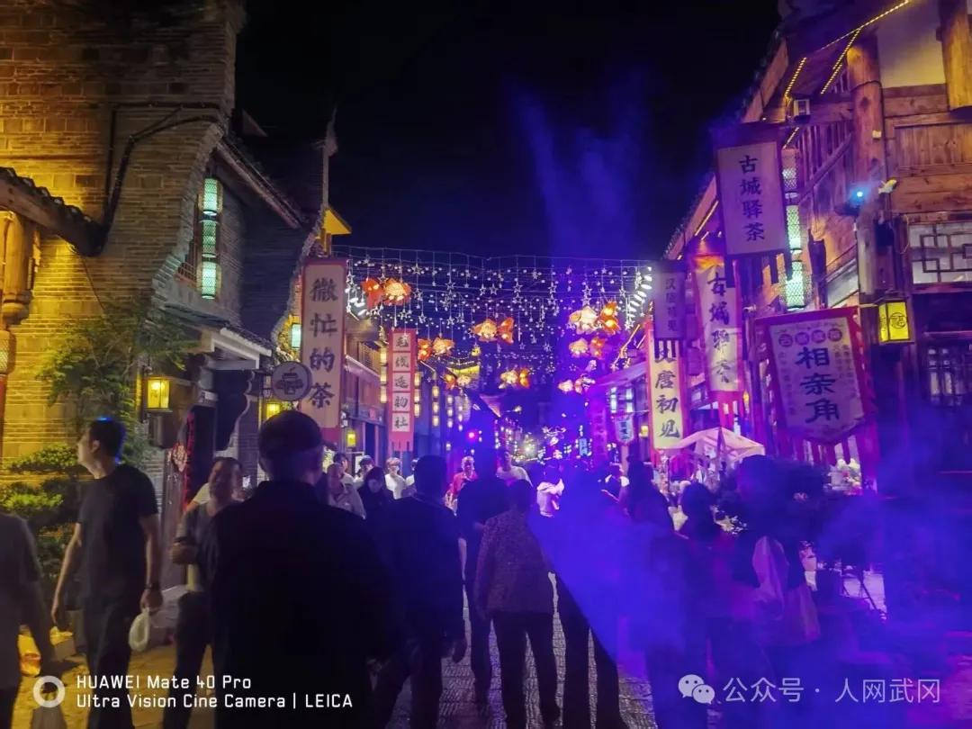夜游武冈西直街有感：东风吹落花千树！