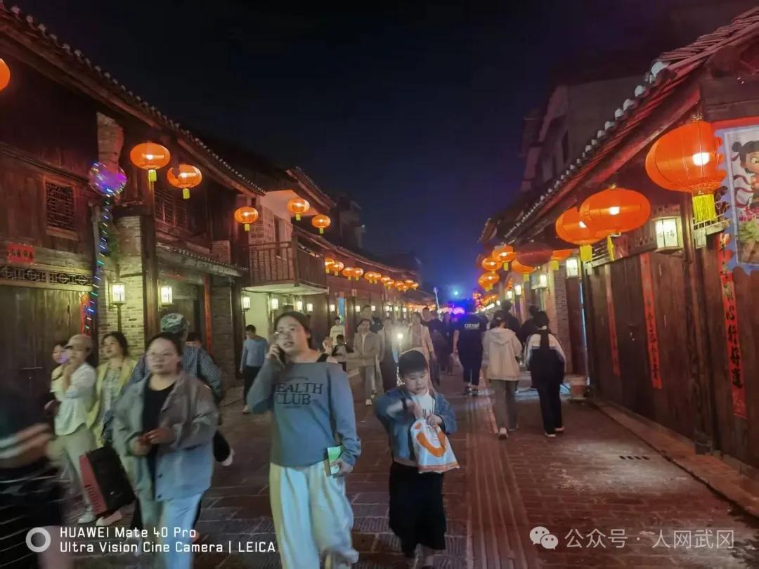 夜游武冈西直街有感：东风吹落花千树！