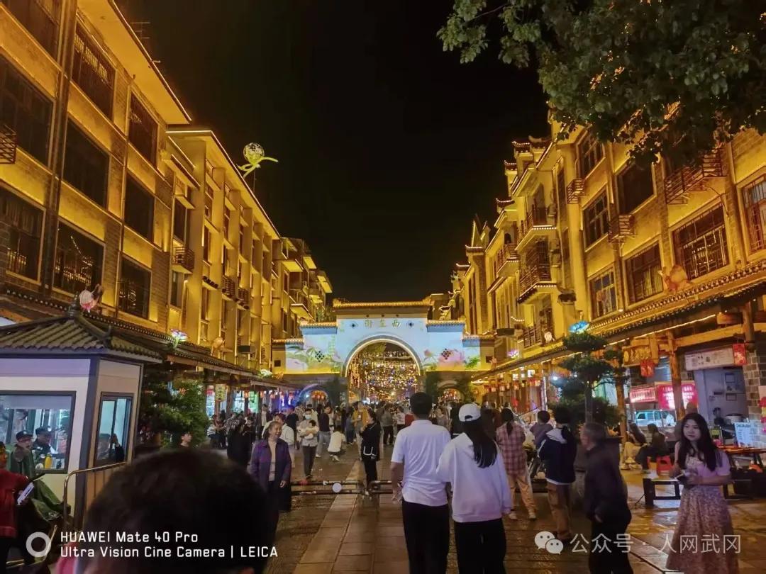 夜游武冈西直街有感：东风吹落花千树！