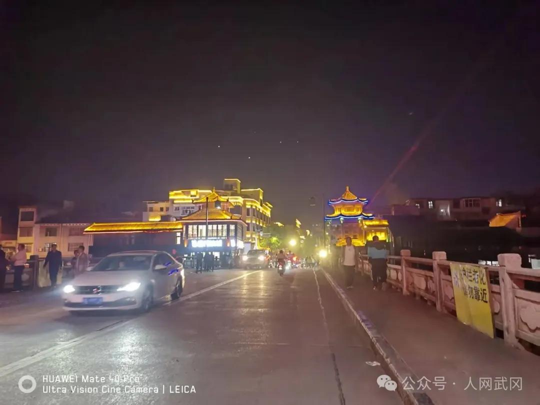 夜游武冈西直街有感：东风吹落花千树！