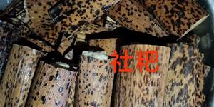 社粑还是夏粑？