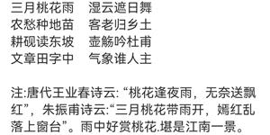 唐代有个叫王业春的诗人吗？