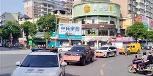武冈已集中销毁！总标值60余万