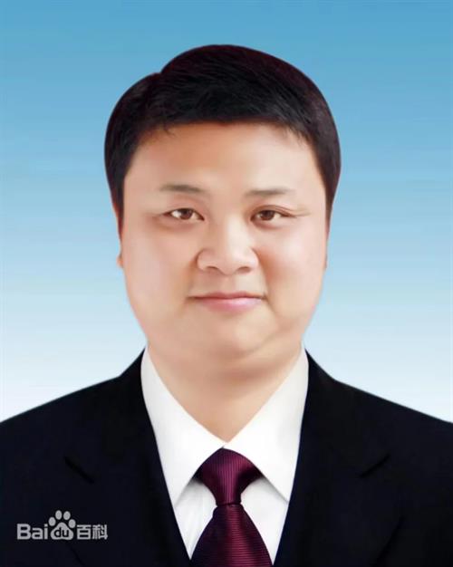 武冈市人民代表大会常务委员会关于阳敏副市长为武冈市人民政府代理市长的决定
