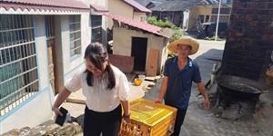 武冈“庭院经济”第一单：100户农户喜领铜鹅增收款