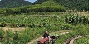 为了偷懒！武冈村民捡废品拼出了一辆越野车