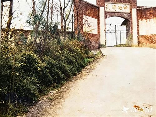 武冈七中读书生活点滴回忆：铁桶吊水和三十斤米