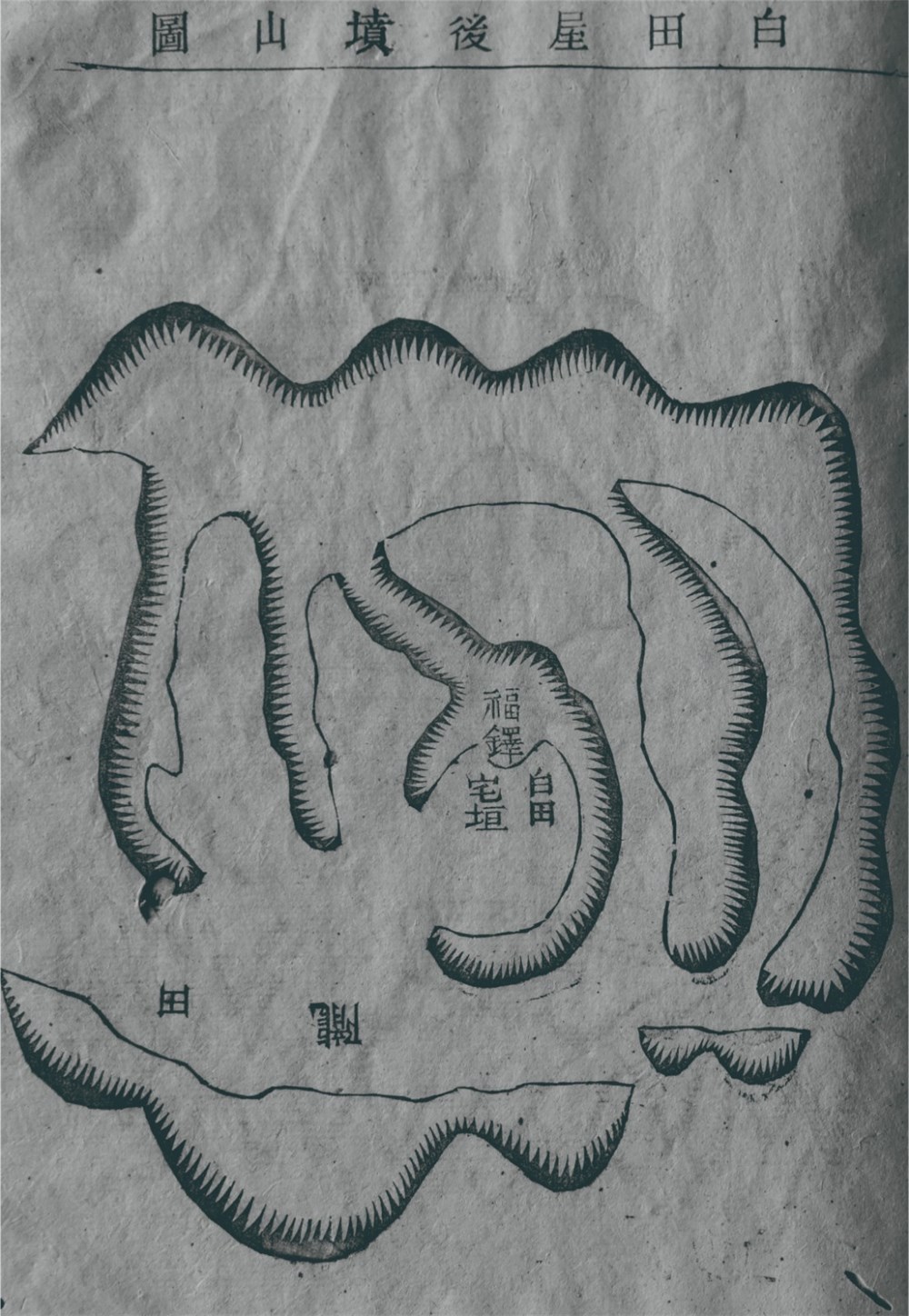 13福铎房白田屋后坟山.jpg 13福铎房白田屋后坟山.jpg